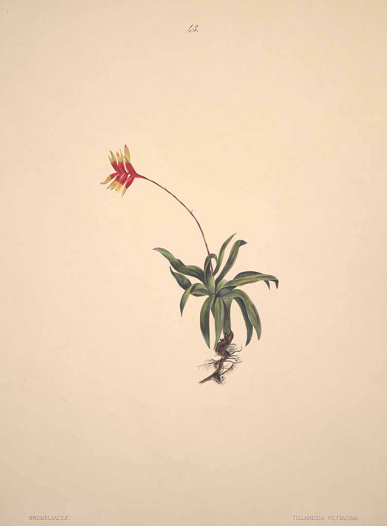 no HD illustration available (m5)