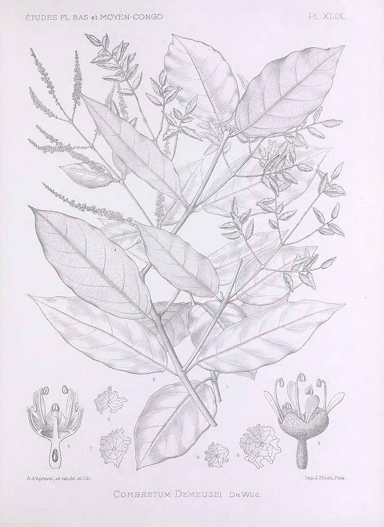 no HD illustration available (m5)
