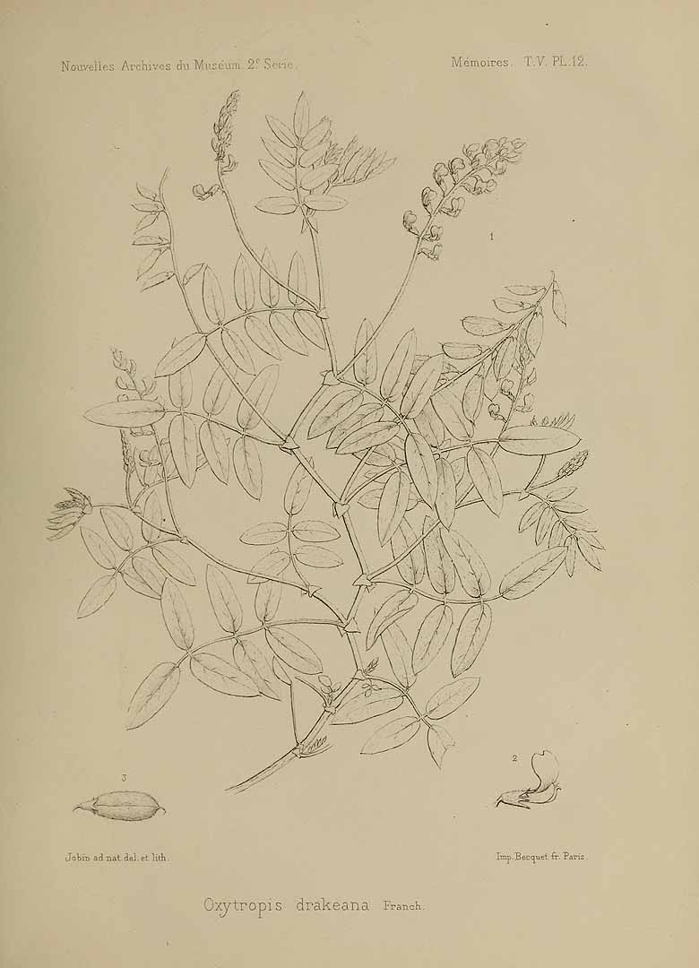 no HD illustration available (m5)