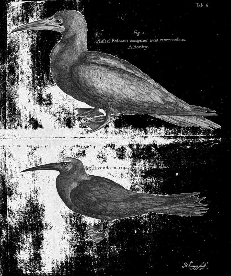 no HD illustration available (m4)