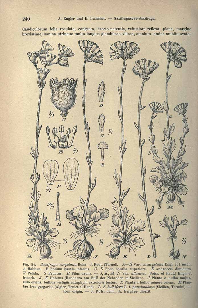 no HD illustration available (m5)