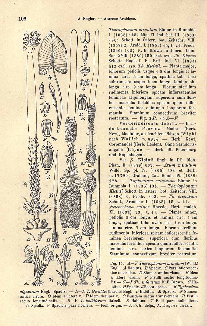 no HD illustration available (m5)