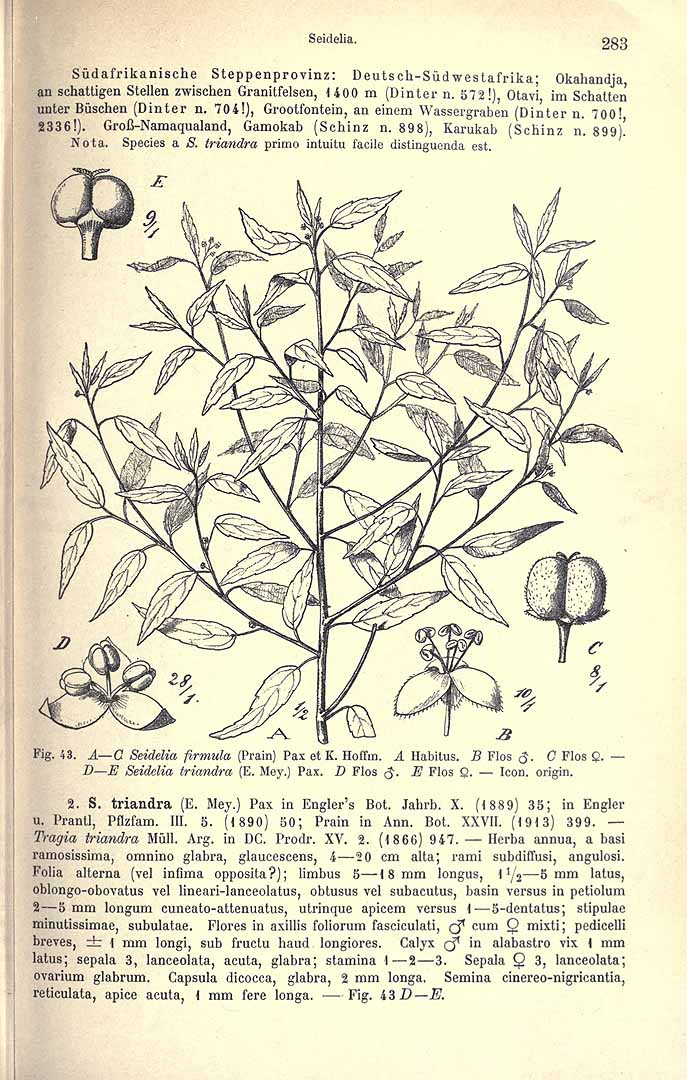 no HD illustration available (m5)
