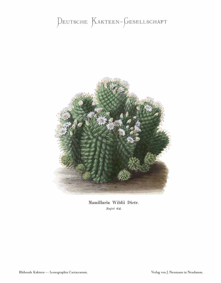 no HD illustration available (m5)