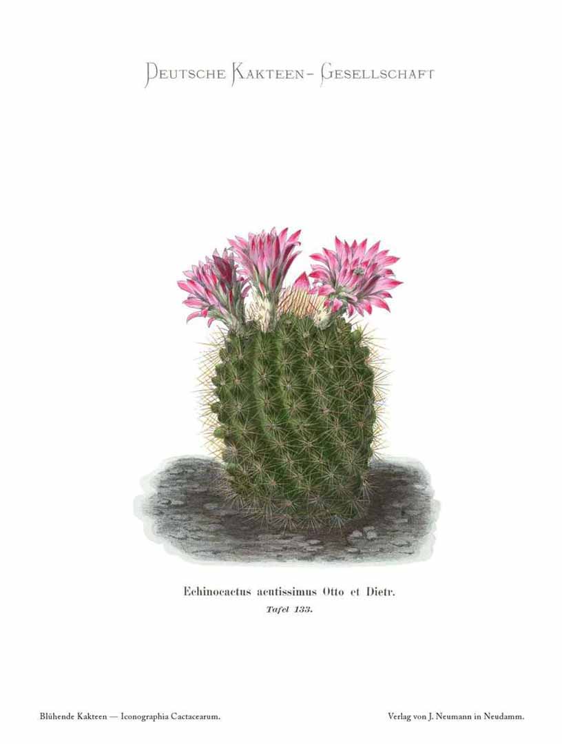 no HD illustration available (m5)