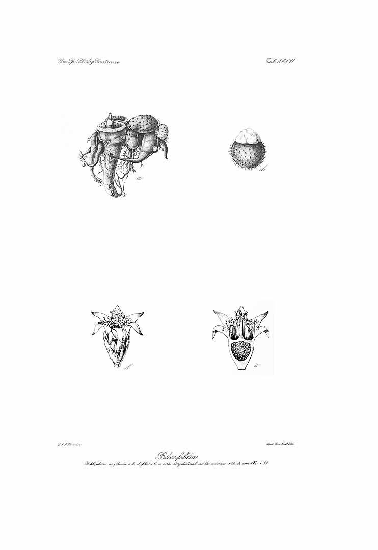 no HD illustration available (m5)
