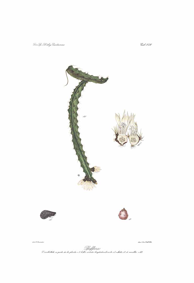 no HD illustration available (m5)