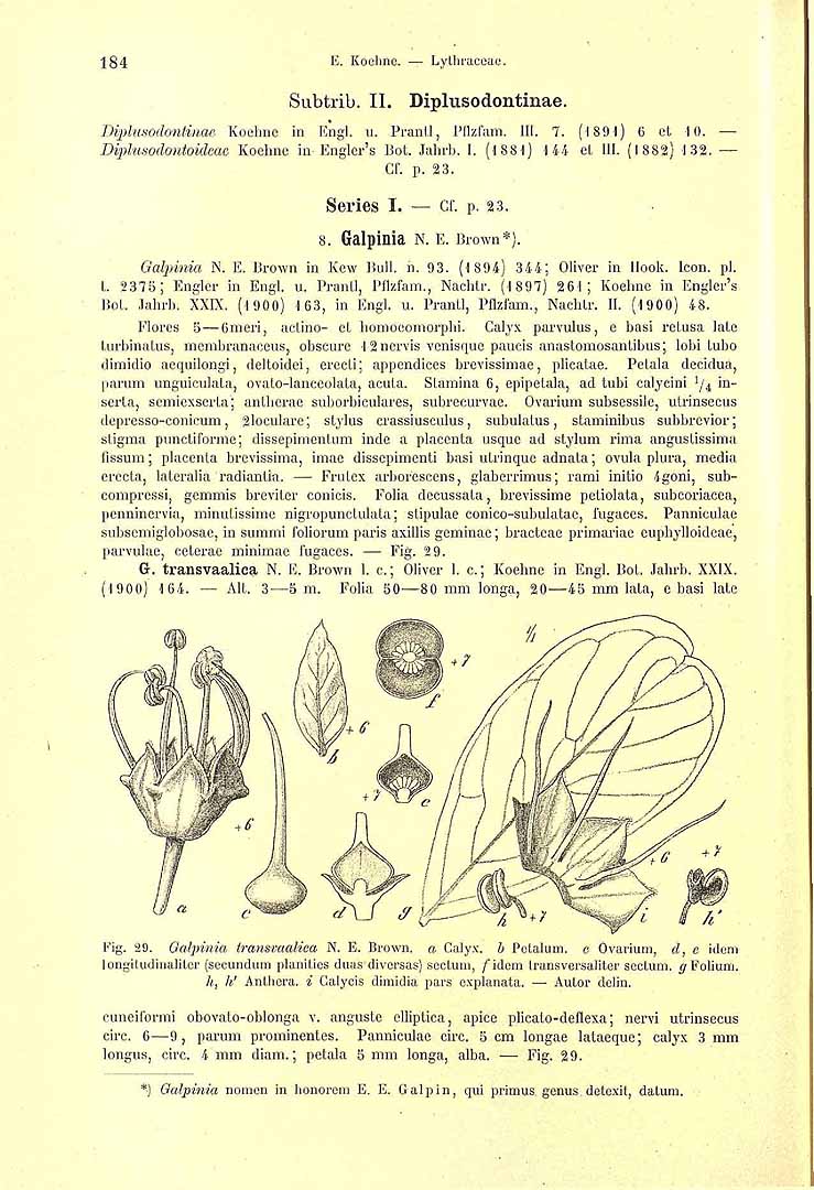 no HD illustration available (m5)