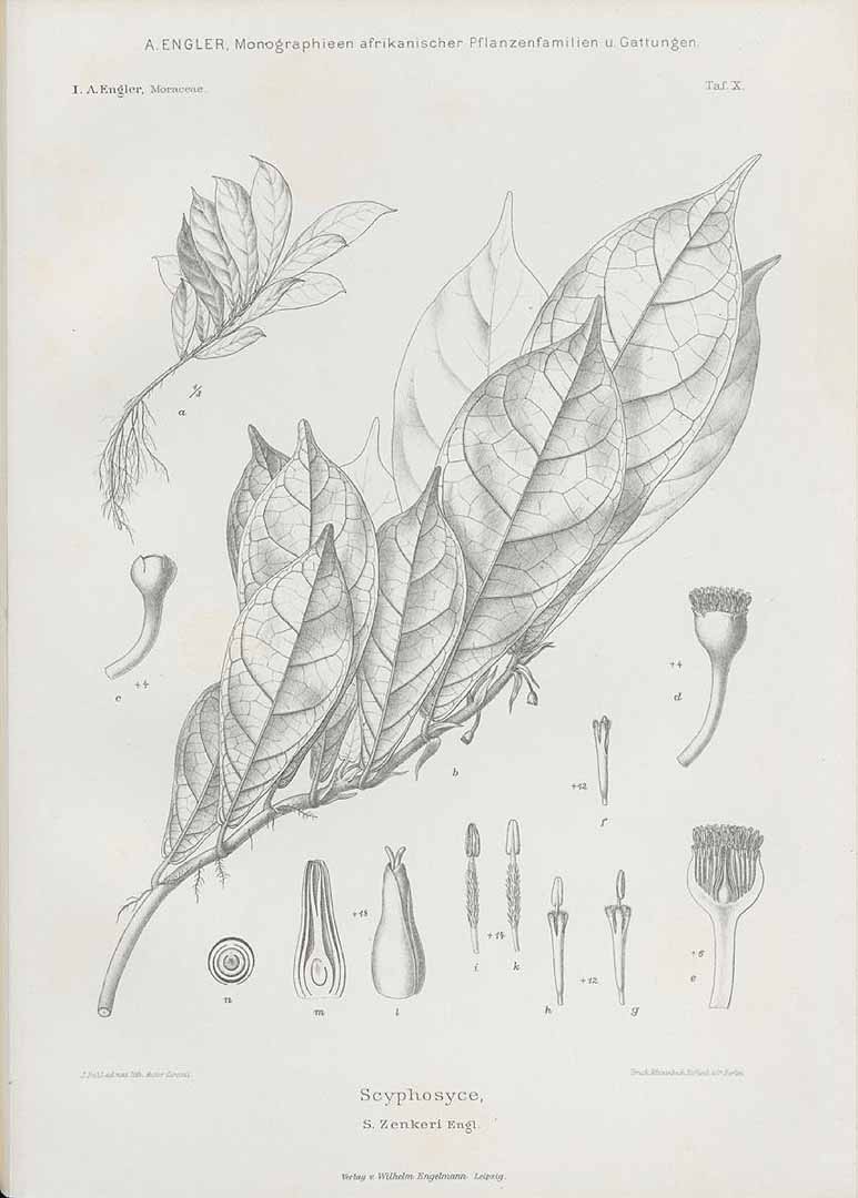 no HD illustration available (m5)
