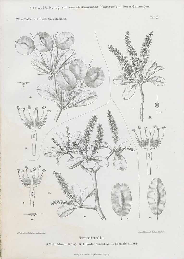 no HD illustration available (m5)