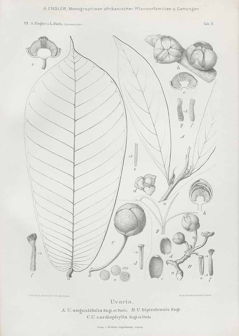 no HD illustration available (m5)