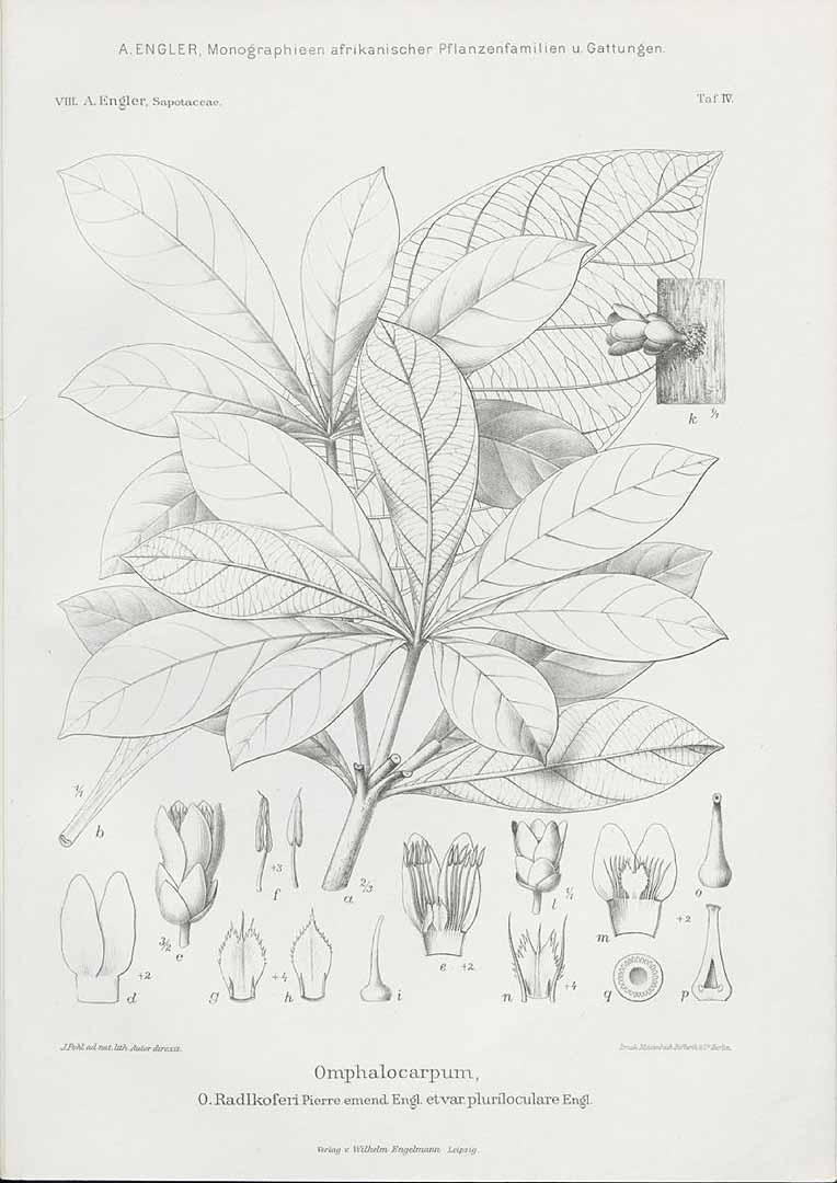 no HD illustration available (m5)
