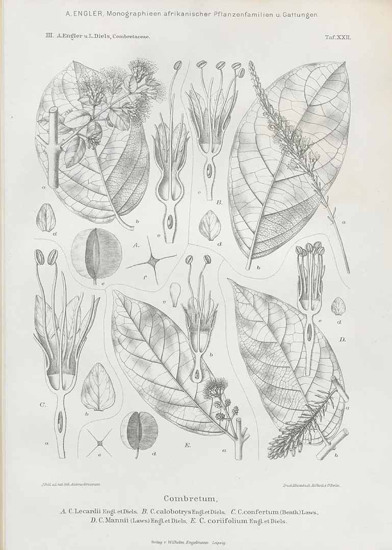 no HD illustration available (m5)
