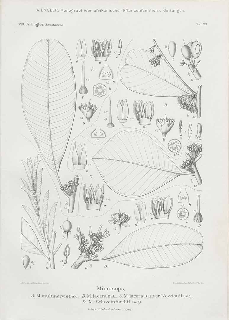no HD illustration available (m5)