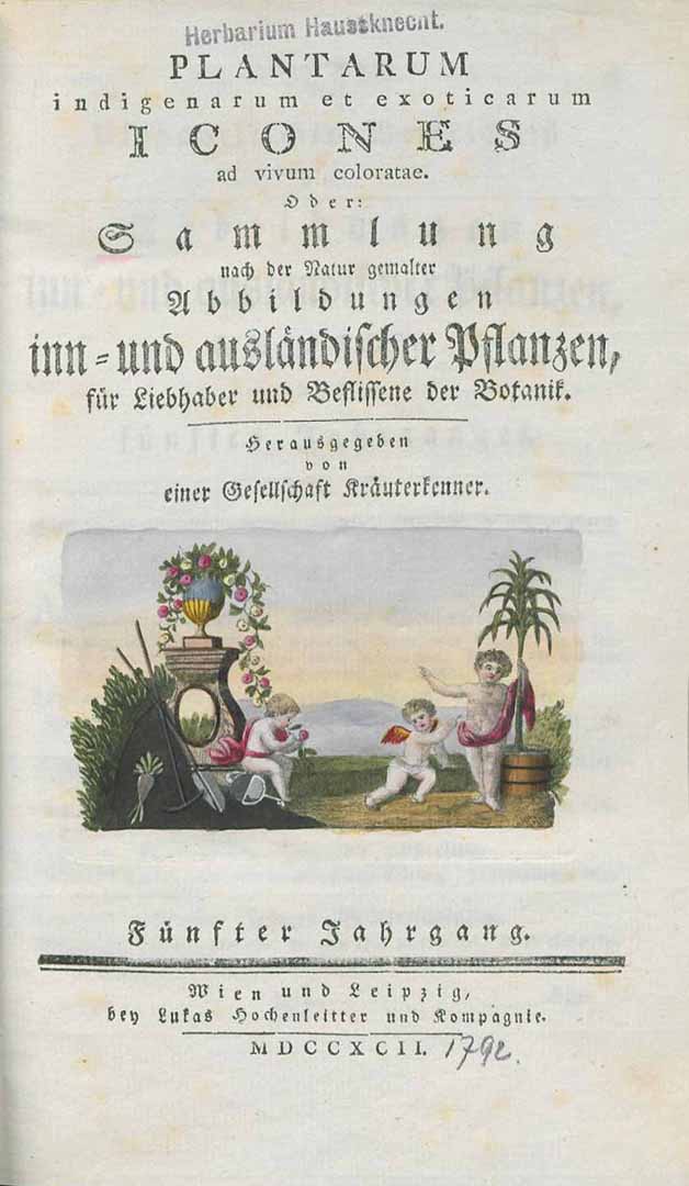no HD illustration available (m5)