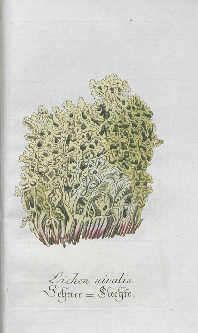 no HD illustration available (m5)