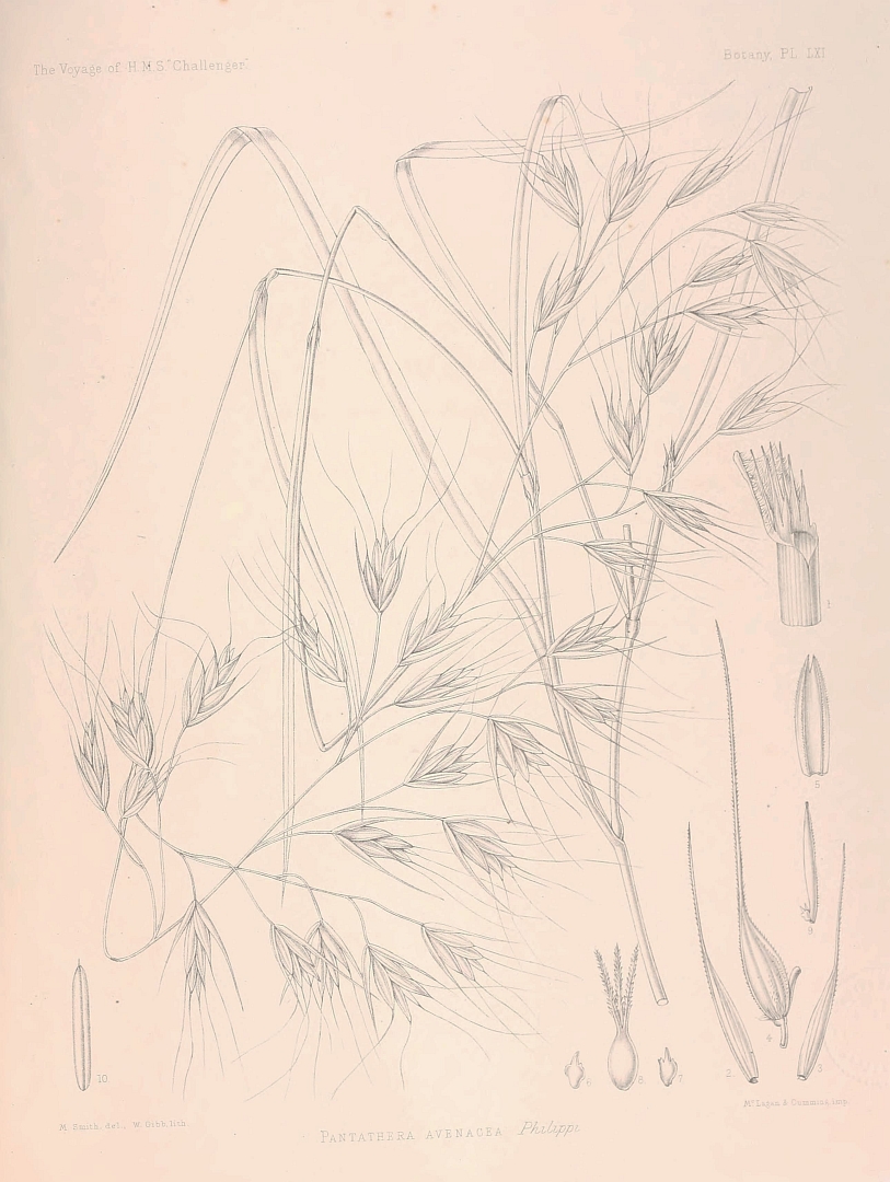 no HD illustration available (m5)