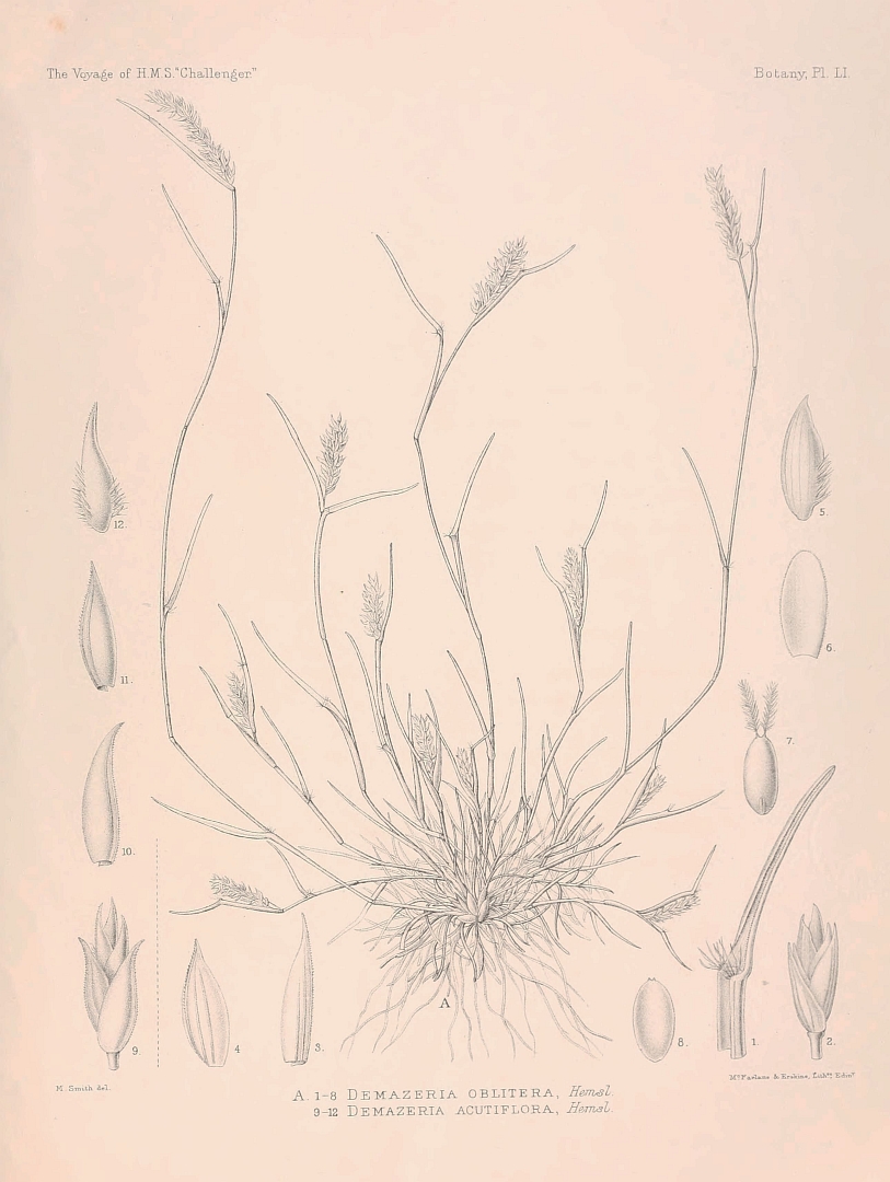 no HD illustration available (m5)
