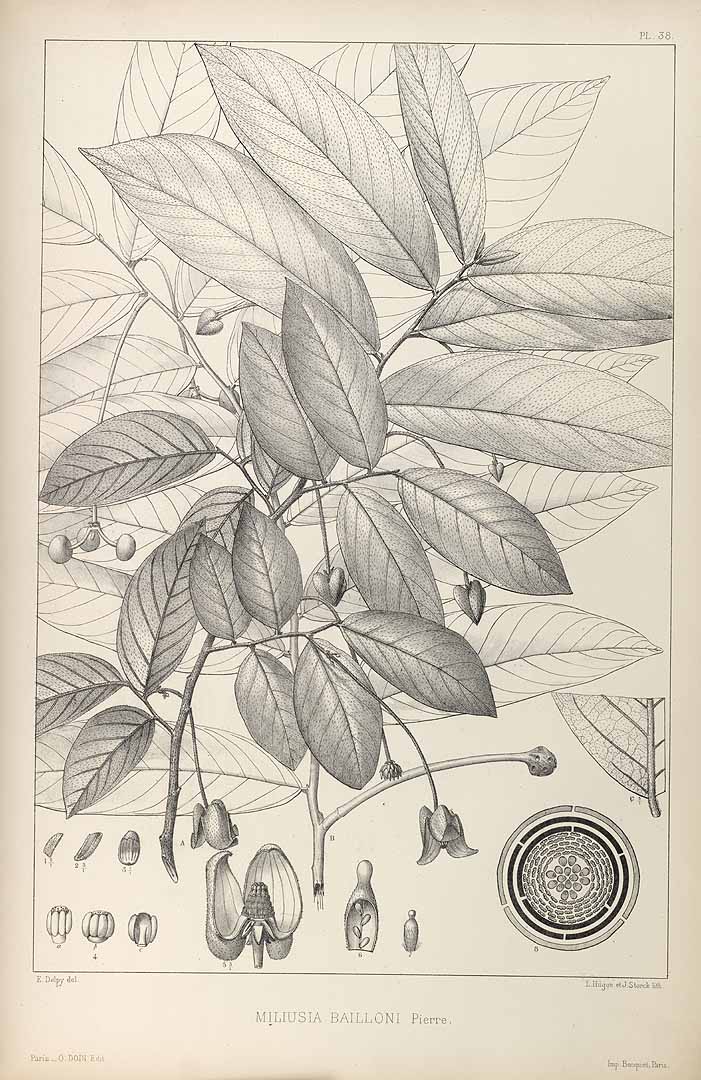 no HD illustration available (m5)