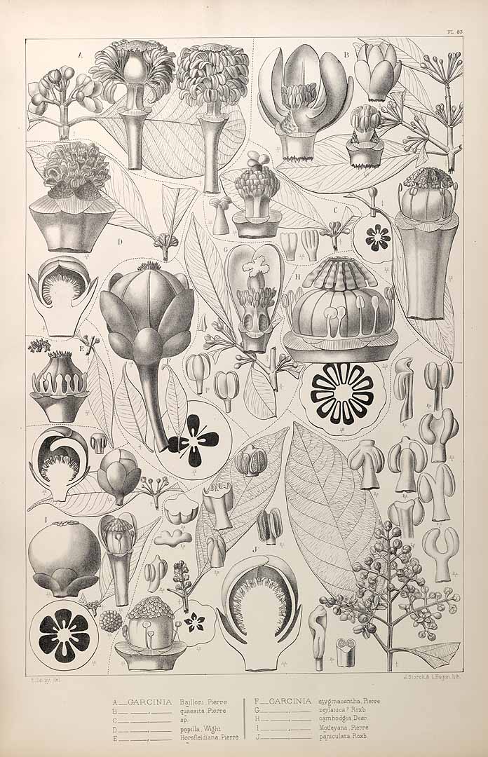 no HD illustration available (m5)