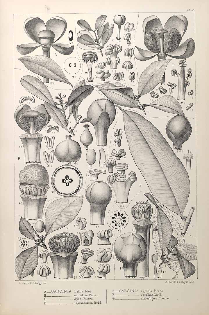 no HD illustration available (m5)