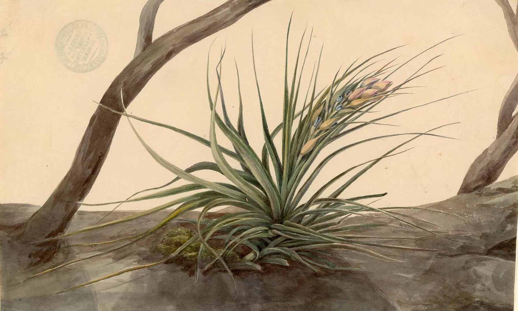 no HD illustration available (m5)