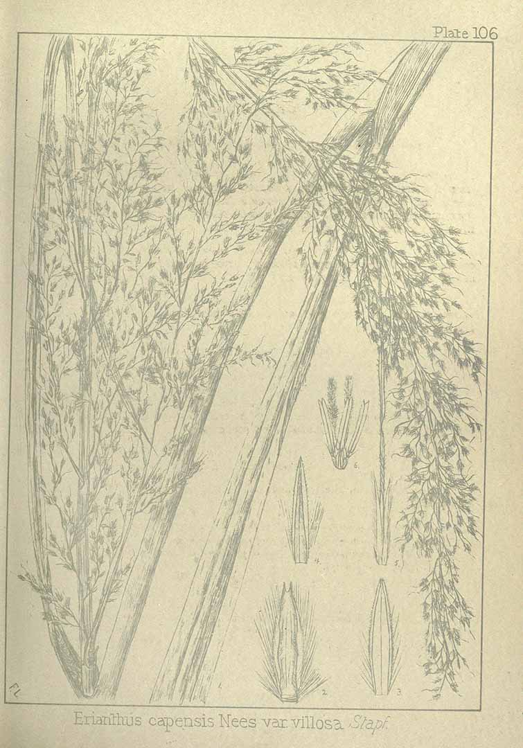 no HD illustration available (m5)