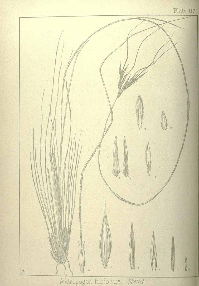 no HD illustration available (m5)