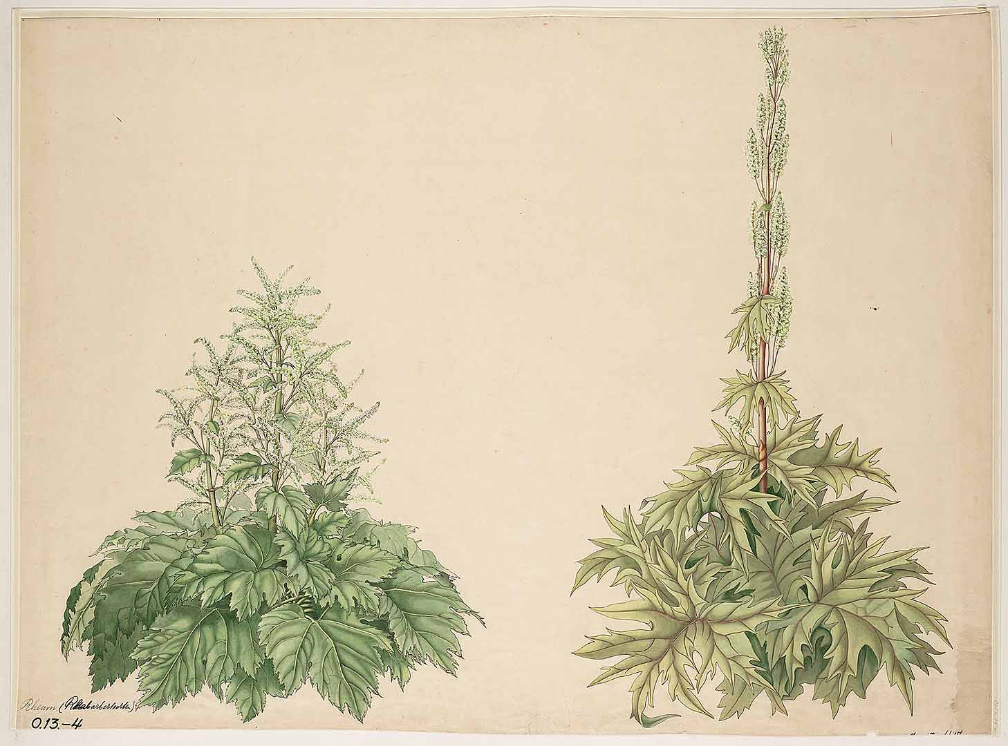 no HD illustration available (m5)