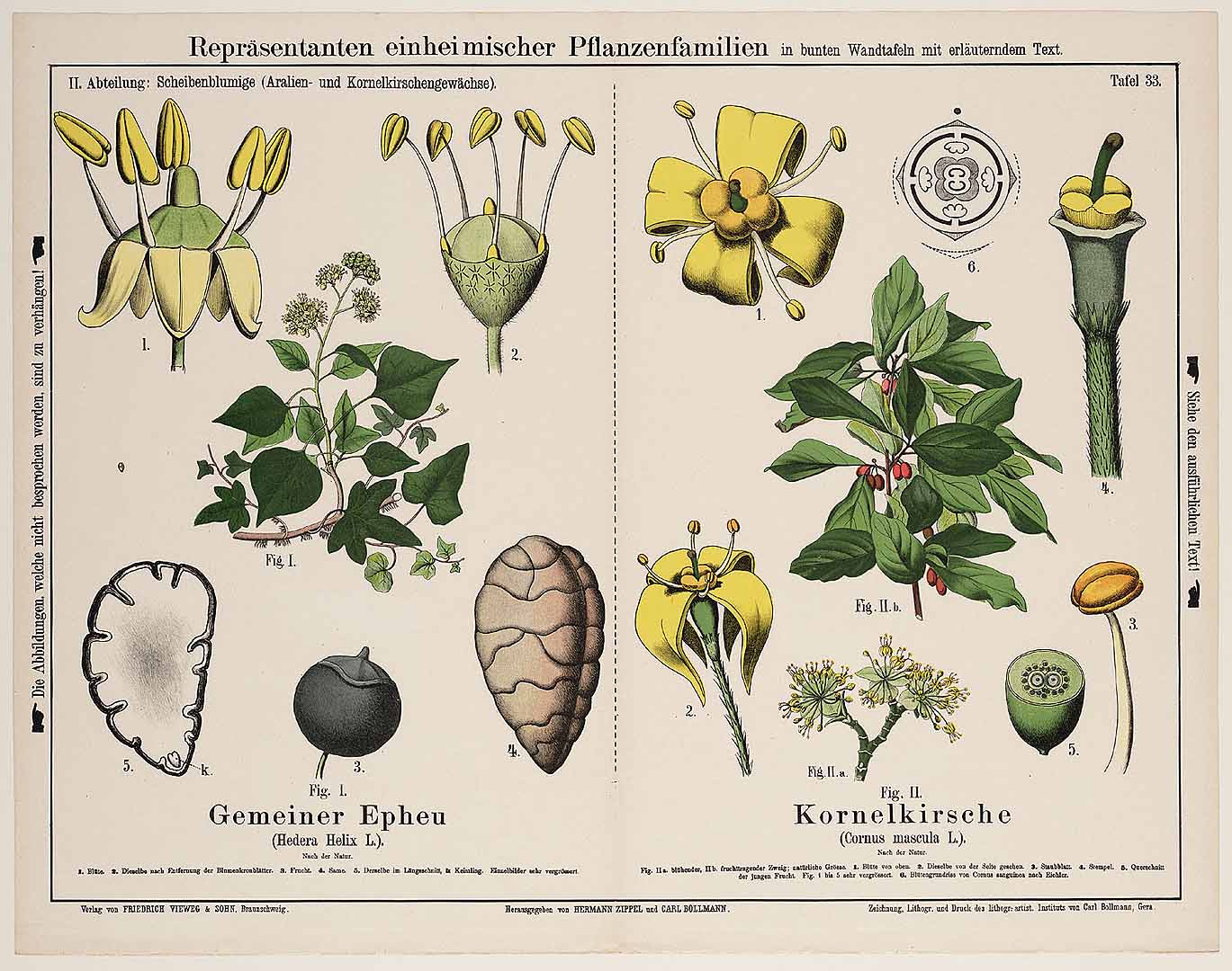 no HD illustration available (m2)