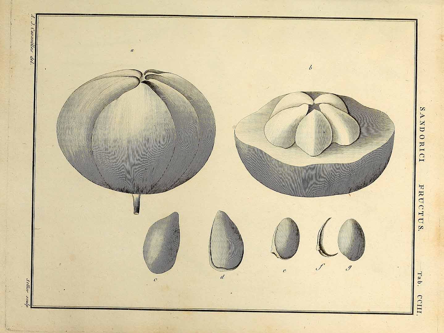 no HD illustration available (m5)