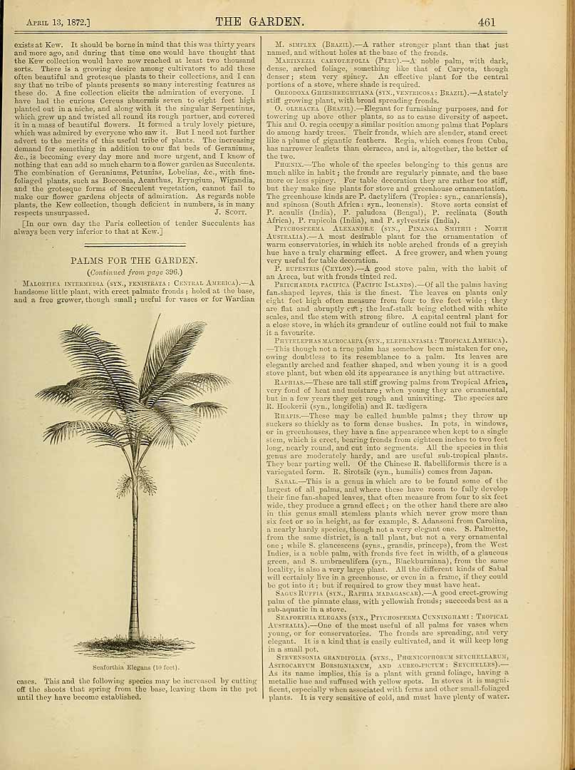 no HD illustration available (m5)