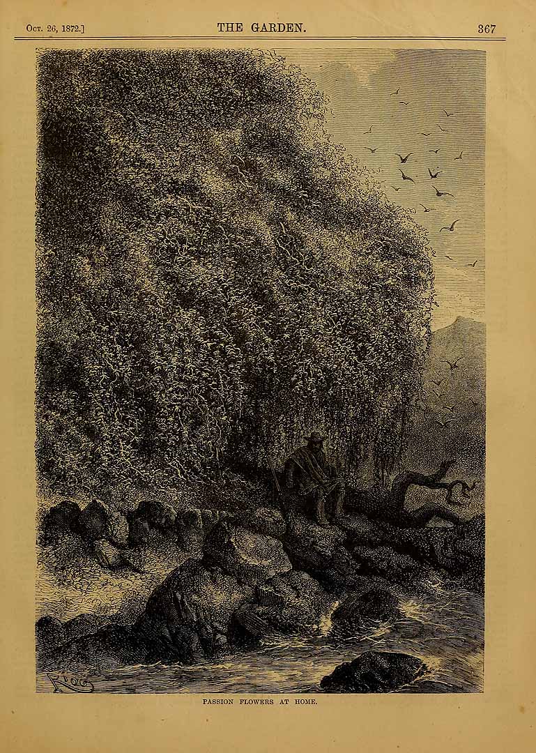 no HD illustration available (m5)