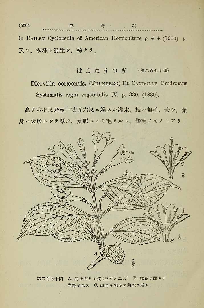 no HD illustration available (m5)