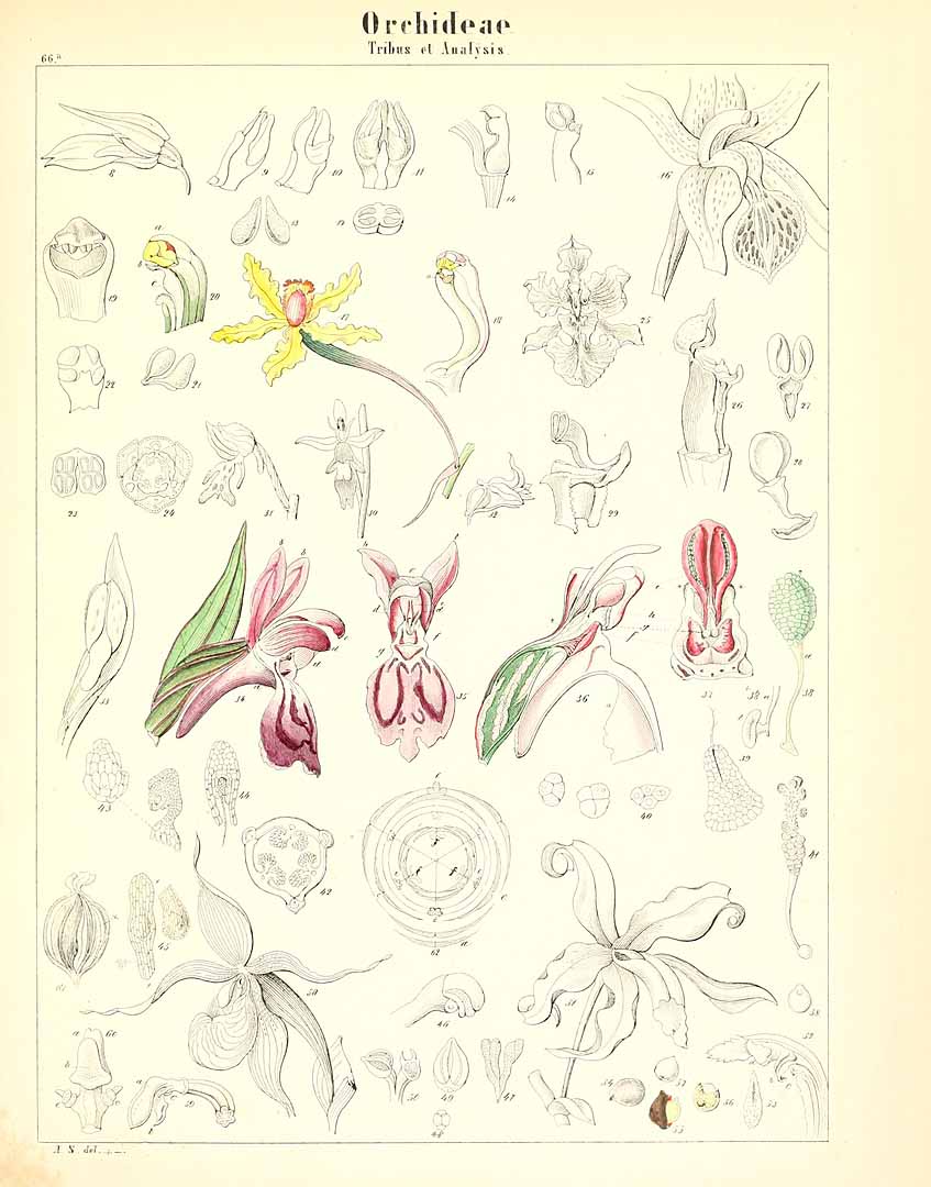no HD illustration available (m5)