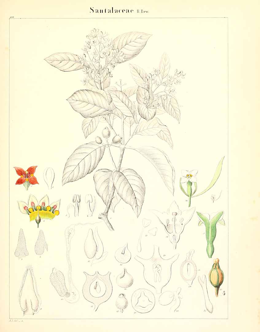 no HD illustration available (m5)