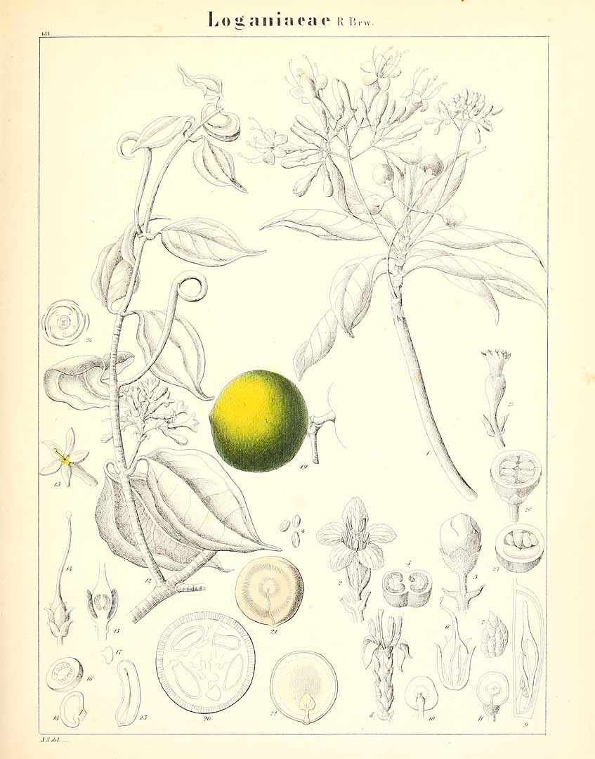 no HD illustration available (m5)