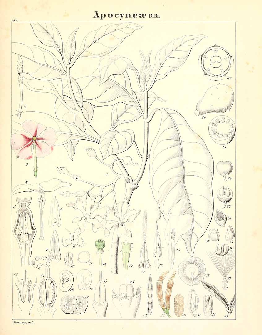 no HD illustration available (m5)