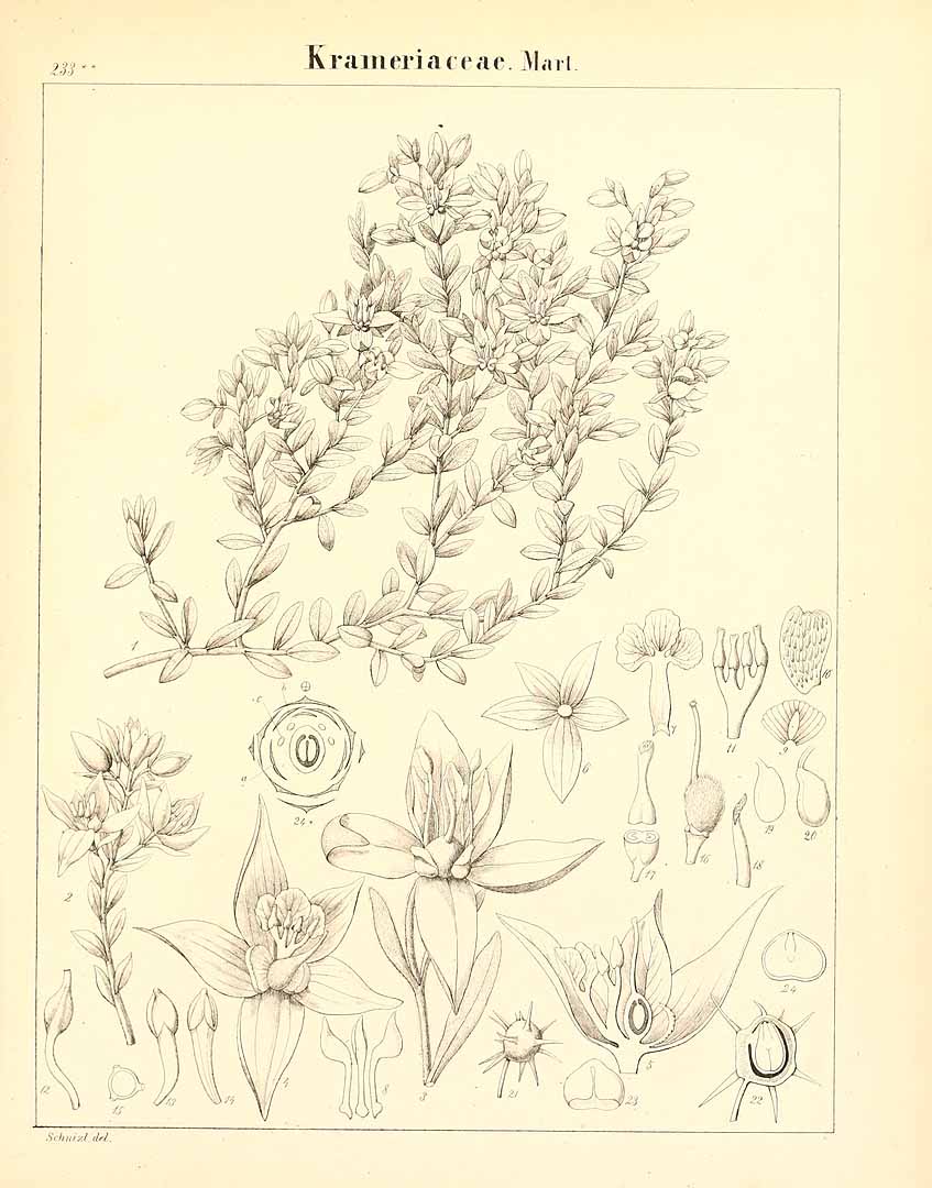 no HD illustration available (m5)