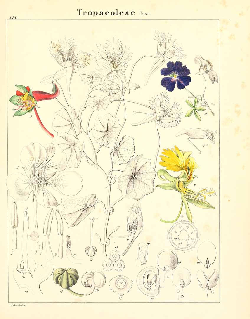no HD illustration available (m5)