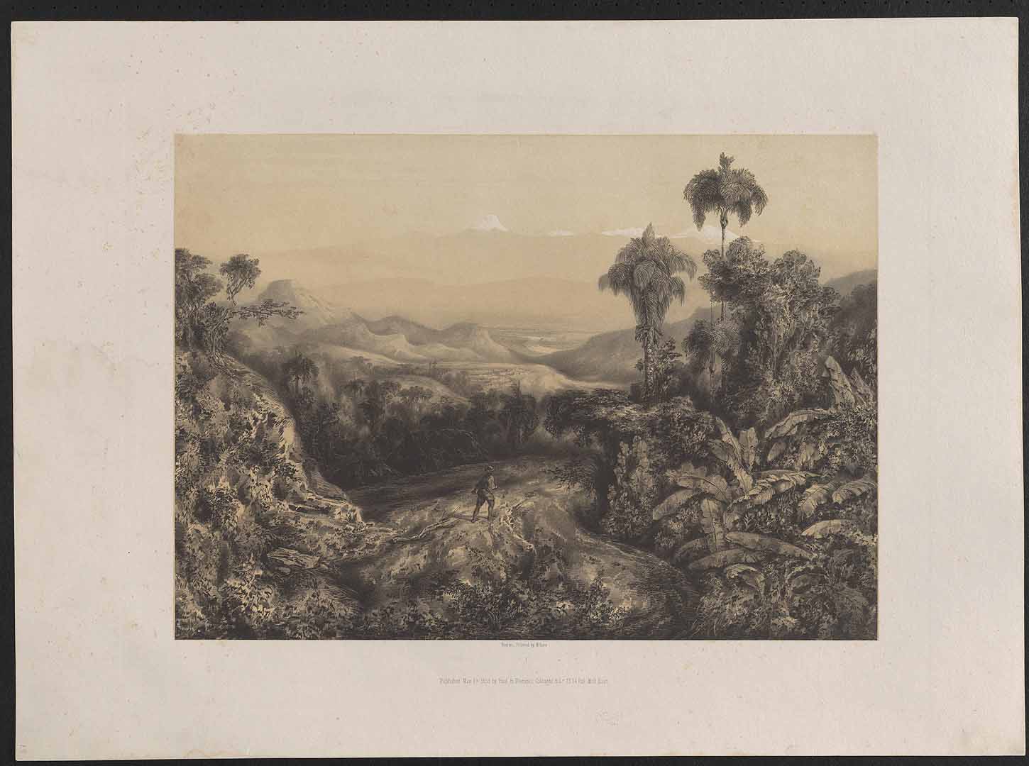 no HD illustration available (m5)