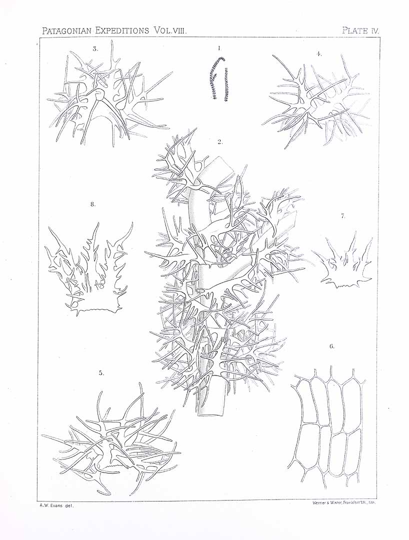 no HD illustration available (m5)
