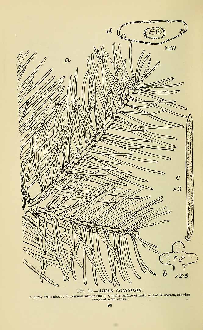 no HD illustration available (m5)