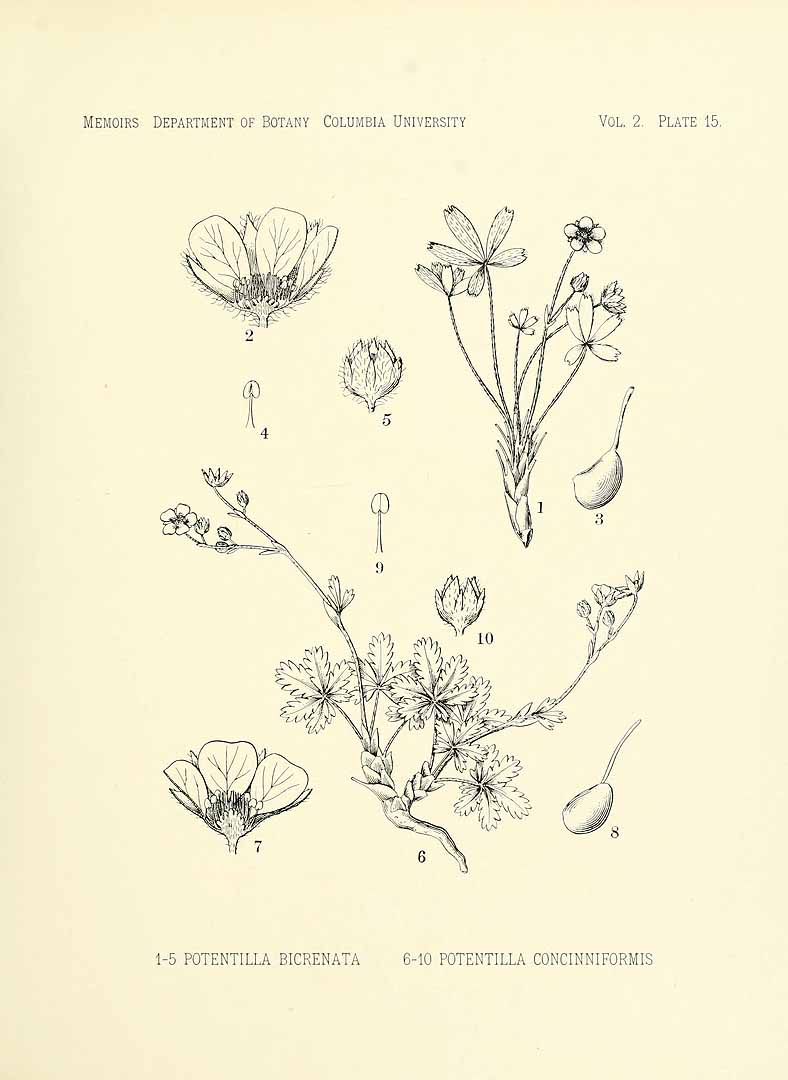 no HD illustration available (m5)