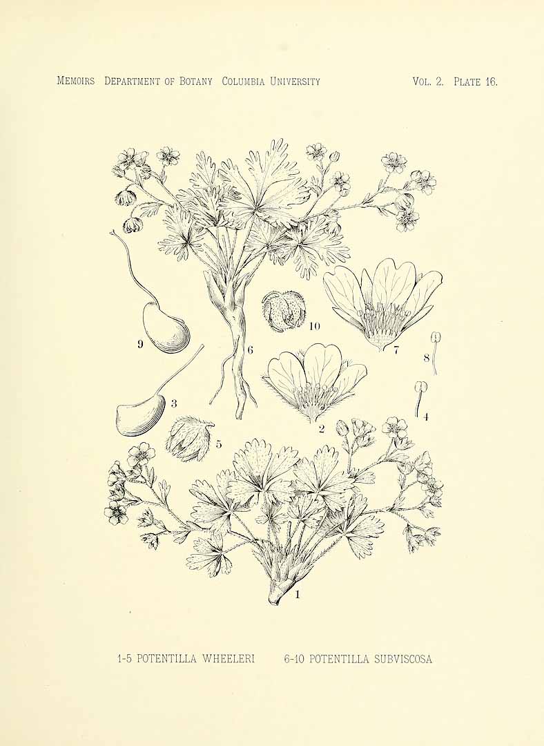no HD illustration available (m5)