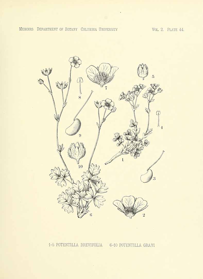 no HD illustration available (m5)
