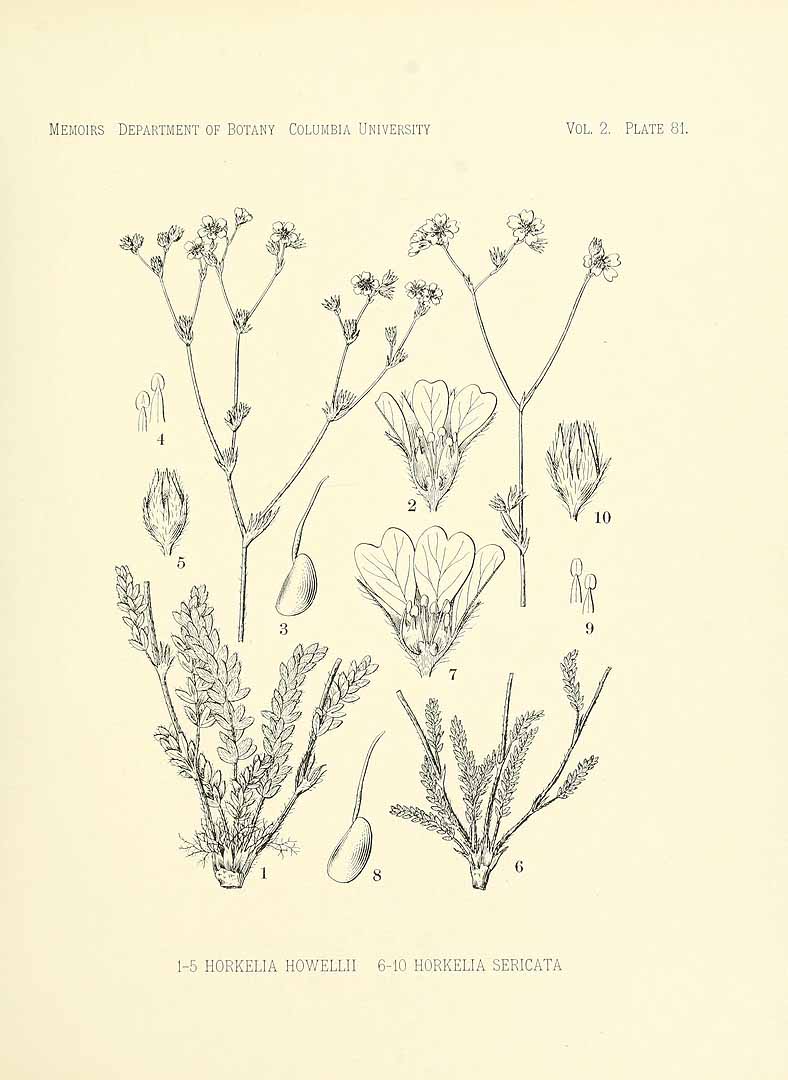 no HD illustration available (m5)