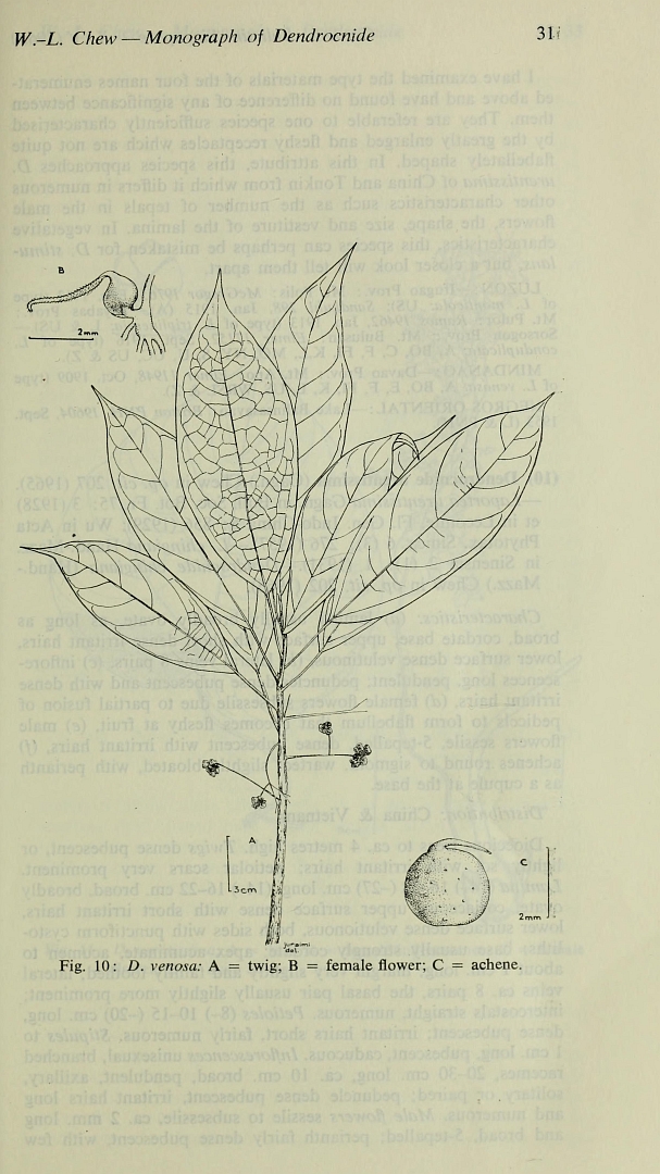 no HD illustration available (m5)