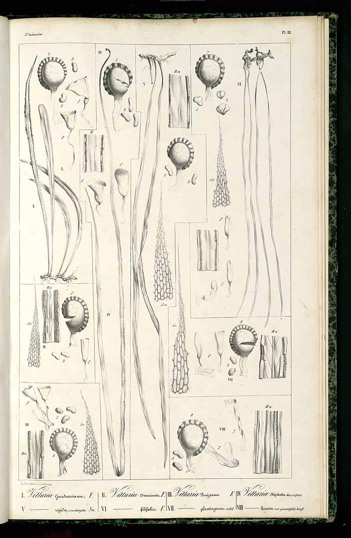 no HD illustration available (m5)