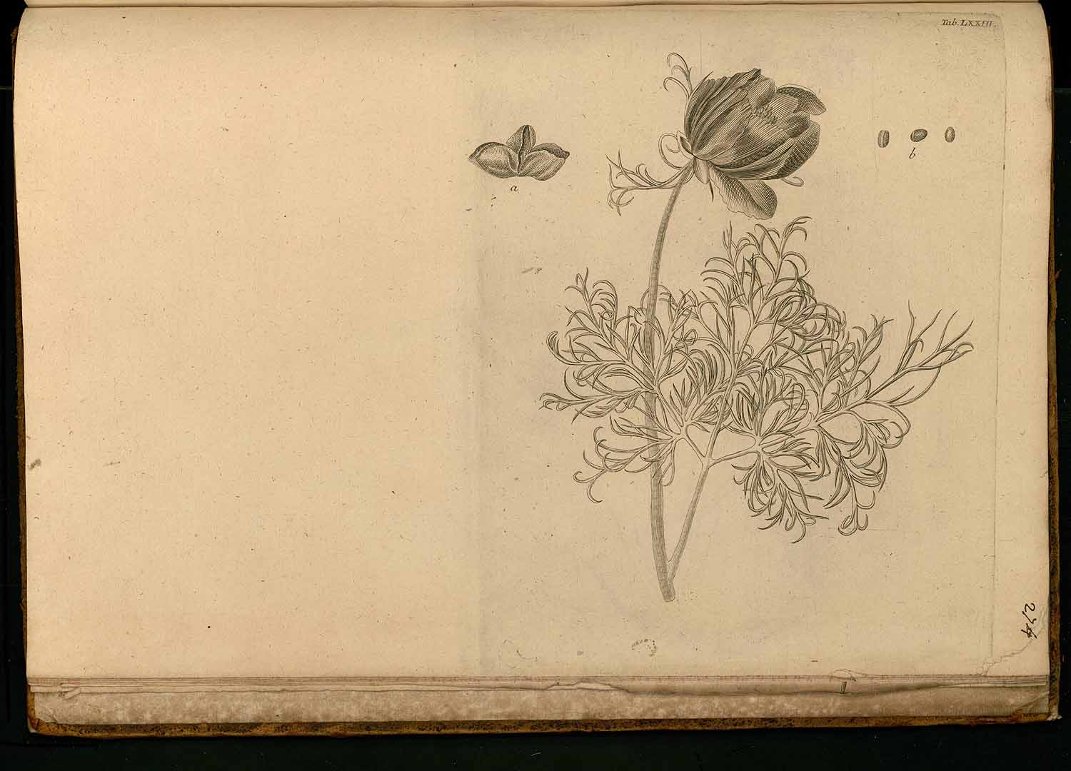no HD illustration available (m5)